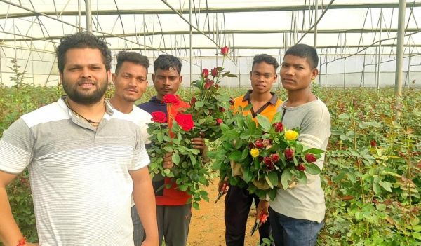 लाखों का पैकेज छोड़ फूलों की खेती कर रहा इंजीनियर अमर