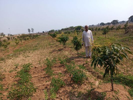 कोरोना में ऑक्सीजन की कमी से जागा प्रकृति प्रेम, लगा डाले 1 हजार पौधे