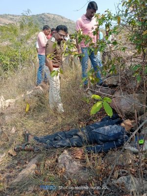 पहाड़ी पर युवक ने कीटनाशक पीकर दी जान