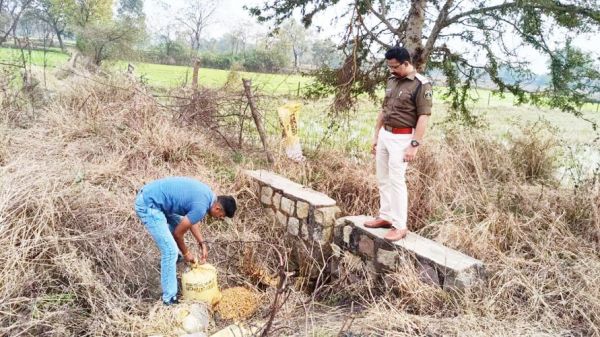 भद्रीपाली में अवैध महुआ शराब बनाने की भट्ठी ध्वस्त