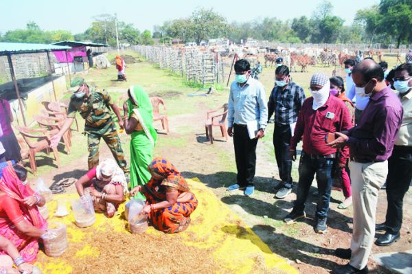 विचारपुर और फत्तेपुर गौठान का कलेक्टर ने किया निरीक्षण