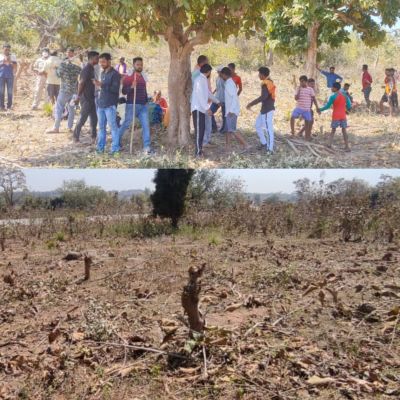 सागौन पेड़ों की कटाई करते 4 को पकड़ा, पूछताछ