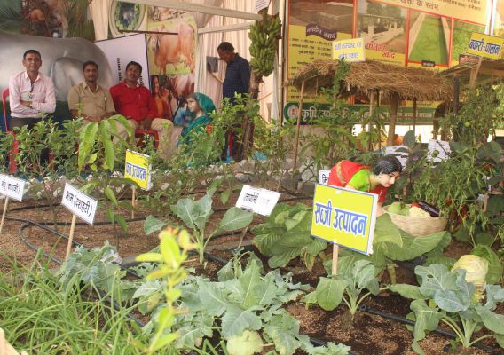 उद्यानिकी विभाग के प्रदर्शनी में सब्जी उत्पादन की मिल रही जानकारी