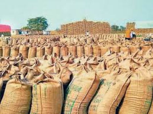 उपार्जन केंद्रों से धान उठाव नहीं, सूखत आना शुरू