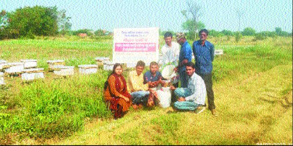 धनिया फसल से मधुमक्खी पालन कर ग्रामीण युवकों ने शहद निकाला