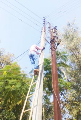 295 बकायेदारों से 28 लाख 63 हजार की वसूली