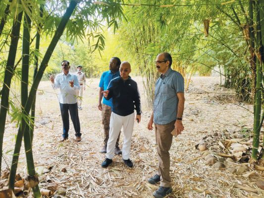  बंबू की प्रजातियों का संरक्षण व संवर्धन जरूरी-कल्लाजे, वन अनुसंधान के सीसीएफ ने बंबू सेटम का किया अवलोकन