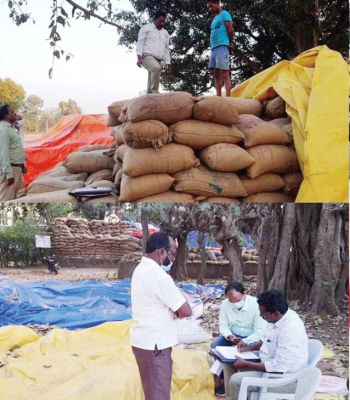  धान खरीदी केंद्र बड़ेबेंदरी में पकड़ाया 100 कट्टा अवैध धान