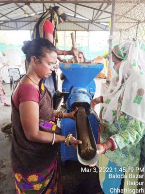 गौकाष्ठ से होगा होलिका दहन