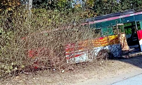 बेकाबू बस पेड़ से टकराई