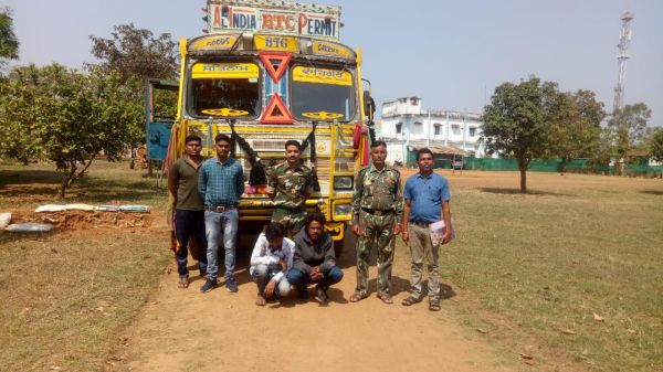 नागपुर ले जाते मवेशी संग 2 पकड़ाए, 32 मवेशी बरामद