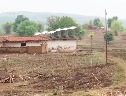 साल भर से बंद है सोलर लाईट, अंधेरे में ग्रामीण