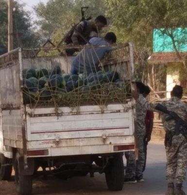 ओडिशा से तरबूज के नीचे गांजा तस्करी, पिकअप समेत 2 बंदी