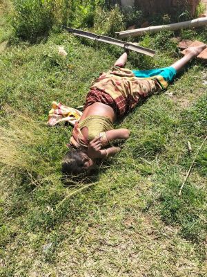 बाड़ी में महिला की लाश मिली, जांच शुरू