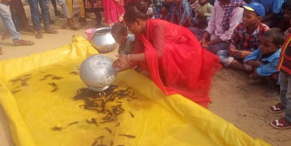 अनूठी स्पर्धा: केकड़ा-मछली पकडऩे की होड़, गिलहरी, खरगोश और जंगली मुर्गे ने लगाई दौड़