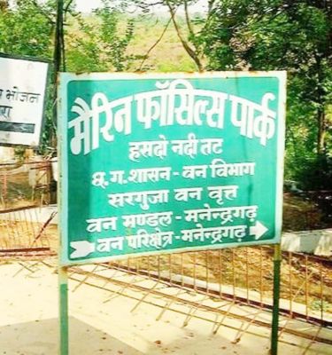 मनेंद्रगढ़ में बनेगा एशिया का सबसे बड़ा फॉसिल्स पार्क