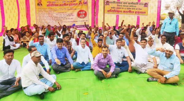 हाथी ग्रामीण क्षेत्रों में तो कई जगह जंगल में लगी हुई है आग