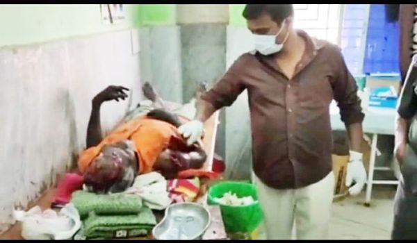 महुआ बिनते अधेड़ पर भालुओं का हमला, गंभीर