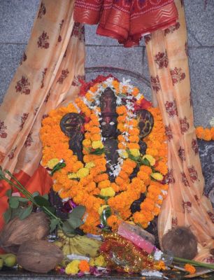 नवरात्र के पहले दिन श्रद्धालुओं ने टेका माथा