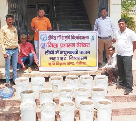 लीची फूल से निकाला 480 किलो ग्राम शहद