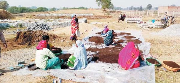 वर्मी कंपोस्ट निर्माण करने वाली महिला समूह को सीएम का इंतजार