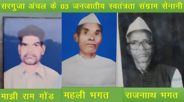 राष्ट्रीय जनजातीय साहित्य महोत्सव में शामिल हुए अजय चतुर्वेदी