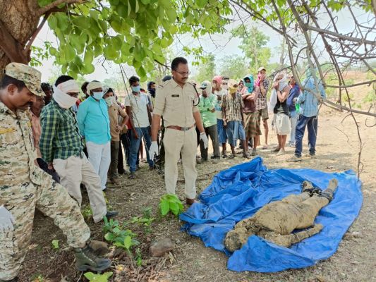 छोटे भाई ने हत्या कर तालाब पार दफनाया