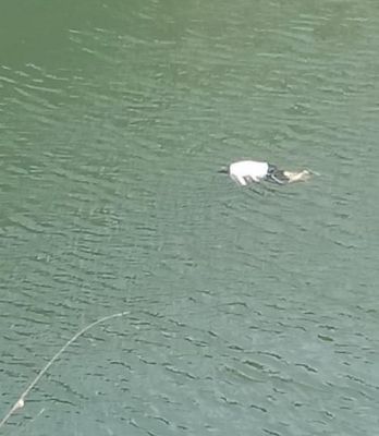 क्रशर प्लांट के मालिक की लाश उसी के प्लांट में मिली, जांच जारी