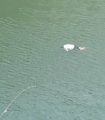 क्रशर प्लांट के मालिक की लाश उसी के प्लांट में मिली, जांच जारी