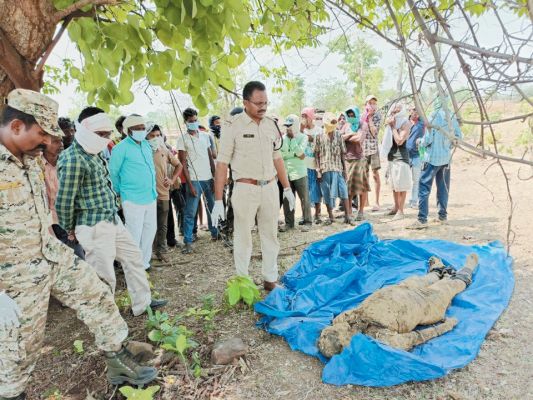 छोटे भाई ने हत्या कर तालाब पार दफनाया