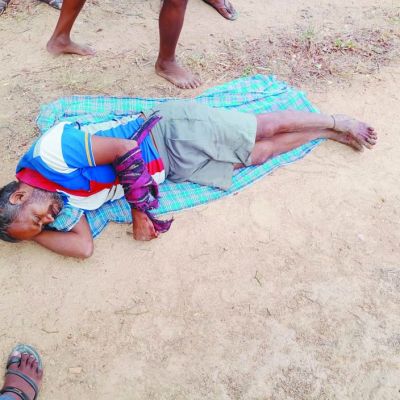 तेंदूपत्ता तोड़ते 3 ग्रामीणों पर जंगली सुअर का हमला, जख्मी