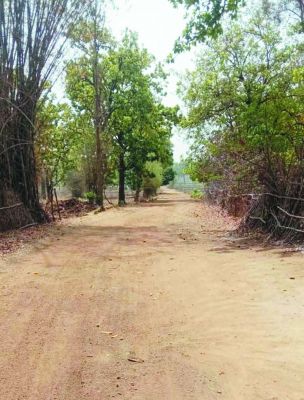 काचरडांड़ से मधोरा तक बनेगी पक्की सडक़