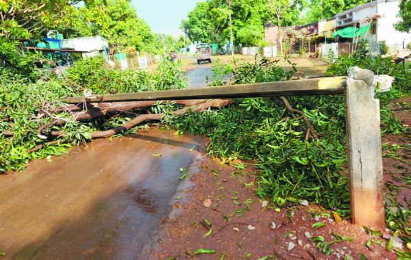 तेज हवाओं के साथ बारिश, बिजली पोल सहित पेड़ गिरे