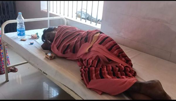 तेंदूपत्ता तोड़ते ग्रामीणों पर मधुमक्खियों का हमला, 2 महिला घायल