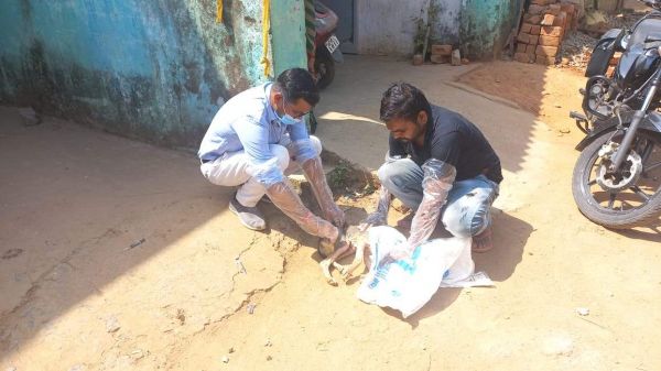 जागरूक नागरिकों के सहयोग से आवारा कुत्तों का लगातार किया जा रहा उपचार