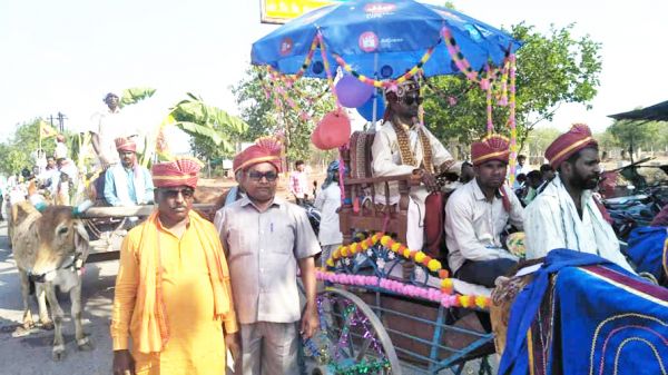 सुंदरकेरा से निकली बैलगाड़ी पर बारात