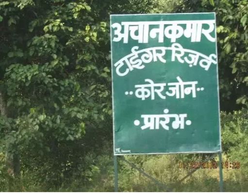  तेंदूपत्ता तोडऩे गए बैगा पर भालू का हमला, मौत