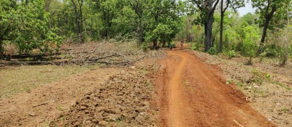 मनरेगा में गड़बड़ी का आरोप, बिना मजदूरों के जारी हो गए मस्टरोल