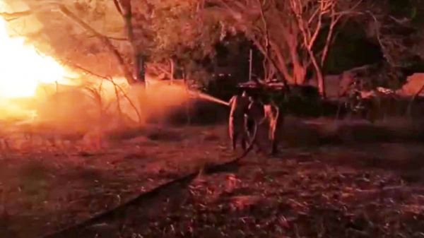 सॉ मिल में लगी आग, 50 लाख का बांस खाक