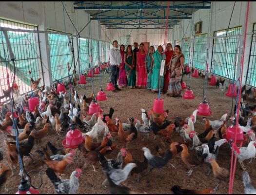 सुराजी गांव योजना से ग्रामीण अर्थव्यवस्था को मिल रही मजबूती