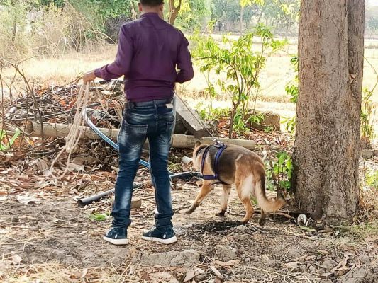 पुल के नीचे युवक की लाश, चोट के निशान