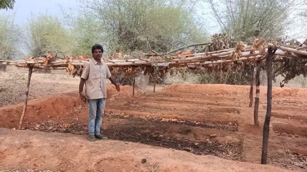 आवर्ती चराई विकास क्षेत्र गौठान निर्माण में अनियमितता का आरोप, जेसीबी से कराया काम