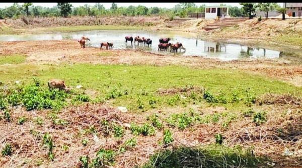 रावनभाठा तालाब सूखा, जानकारी मिलते ही विधायक के निर्देश पर पदाधिकारियों ने जानी वार्डवासियों से समस्या