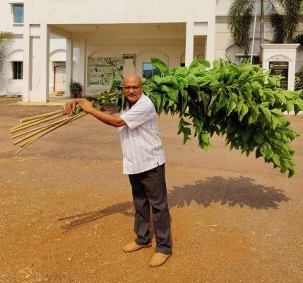शहतूत की खेती के लिए 5 लाख प्रति एकड़ प्रोत्साहन राशि देगी सरकार- डॉ. सौरभ