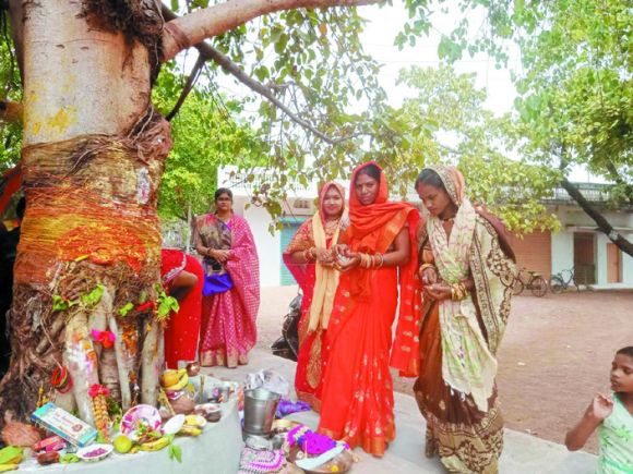 पति की दीर्घायु के लिए वट सावित्री की पूजा