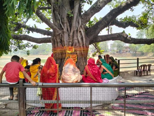 सौभाग्य कामना के लिए सुहागिनों ने रखा व्रत