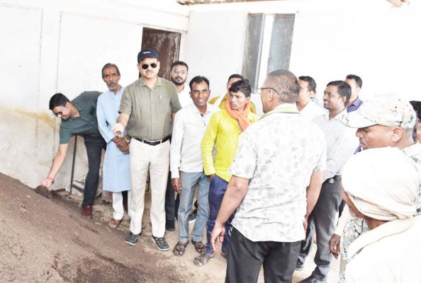 कलेक्टर ने फत्तेपुर-मुढ़ीपार गौठान का किया निरीक्षण