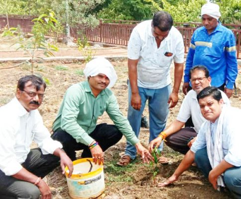 पर्यावरण संरक्षण के लिए लगाए पौधे