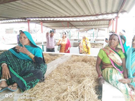 आदर्श गौठान मोहतरा के कार्यों का निरीक्षण
