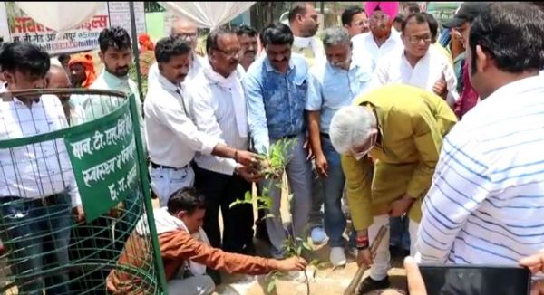 सिंहदेव ने किया पौधरोपण